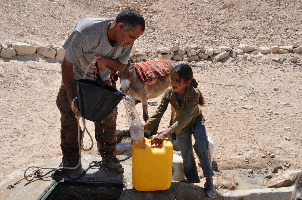 0000012653-foto esel